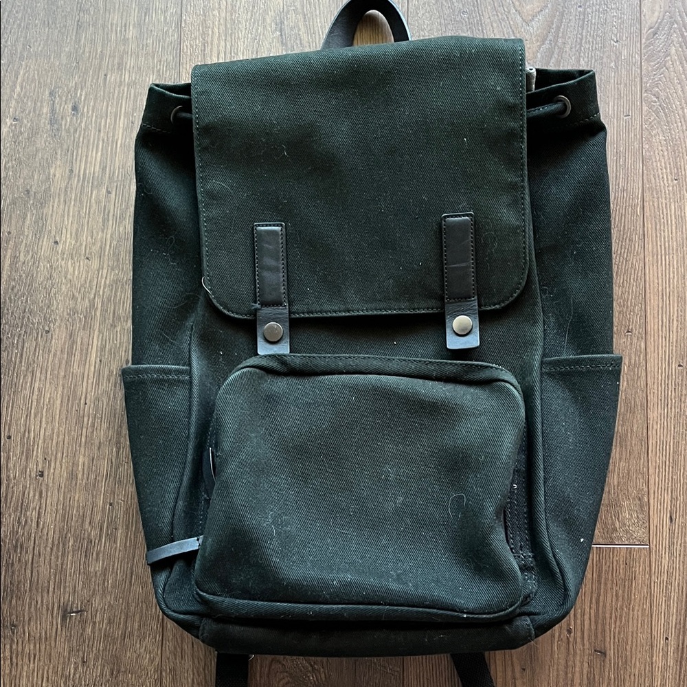 Everlane Canvas Backpack